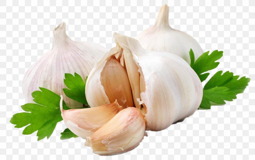 Garlic Press Shallot Vegetable Alternative Health Services, PNG, 1144x722px, Chutney, Allicin, Alternative Medicine, Chef, Chili Pepper Download Free