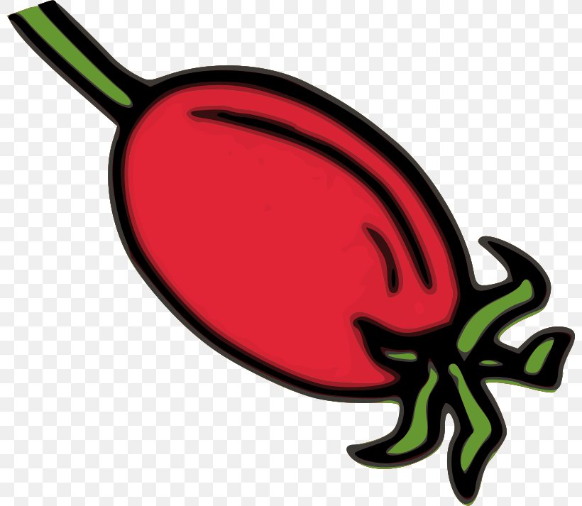 Rose Hip Dog-rose Clip Art, PNG, 800x713px, Rose Hip, Artwork, Dogrose, Food, Herb Download Free