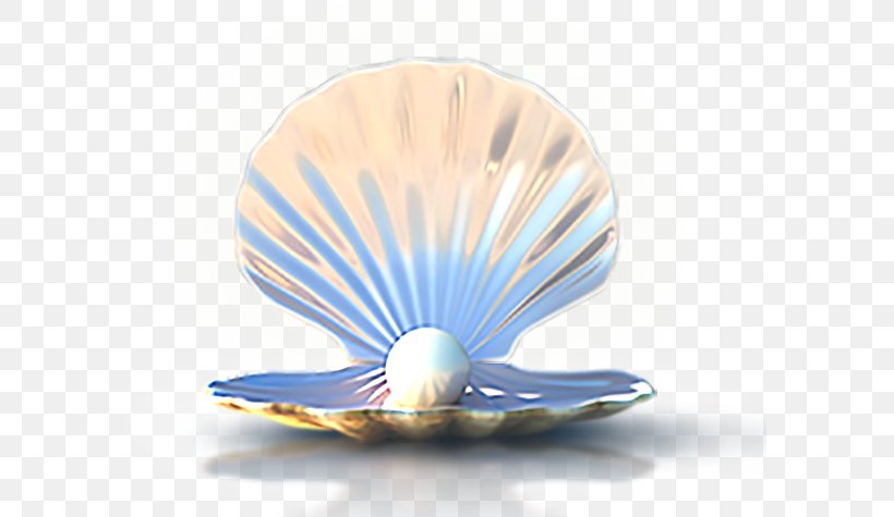 Seashell Download Computer File, PNG, 587x475px, Seashell, Cobalt Blue, Color, Decorative Fan, Gratis Download Free