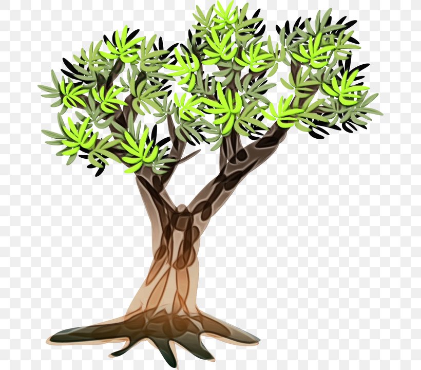 Tree Trunk, PNG, 674x720px, Trunk, Branch, Flower, Flowerpot, Grass Download Free