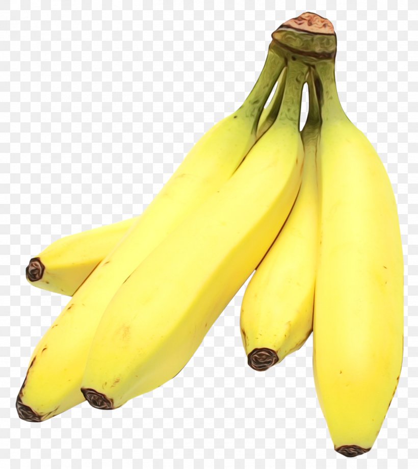 Banana Family Banana Saba Banana Cooking Plantain Yellow, PNG, 1425x1600px, Watercolor, Agriculture, Banana, Banana Family, Cooking Plantain Download Free