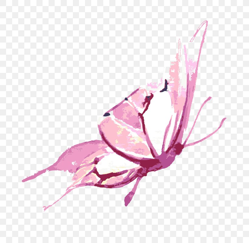 Butterfly Watercolor Painting Clip Art Illustration Vector Graphics, PNG, 800x800px, Butterfly, Drawing, Flora, Flower, Flowering Plant Download Free