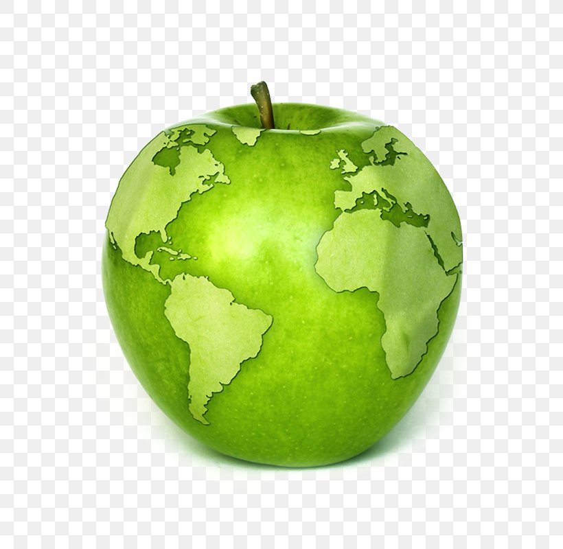 Globe Apple Stock Photography Fruit, PNG, 800x800px, Globe, Apple, Food, Fruit, Granny Smith Download Free