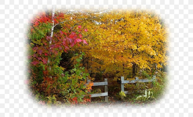 Landscape Painting Clip Art Email, PNG, 704x498px, Painting, Advertising, Autumn, Babesletza, Creativity Download Free