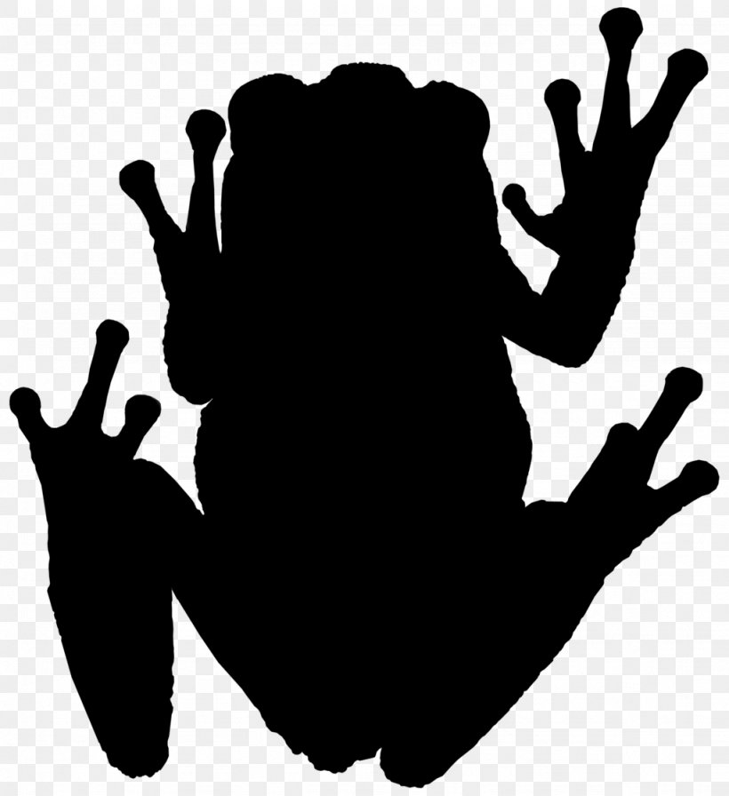 Tree Frog Amphibians Photography Silhouette, PNG, 1024x1119px, 2018, Frog, Amphibians, Animal, Black Download Free