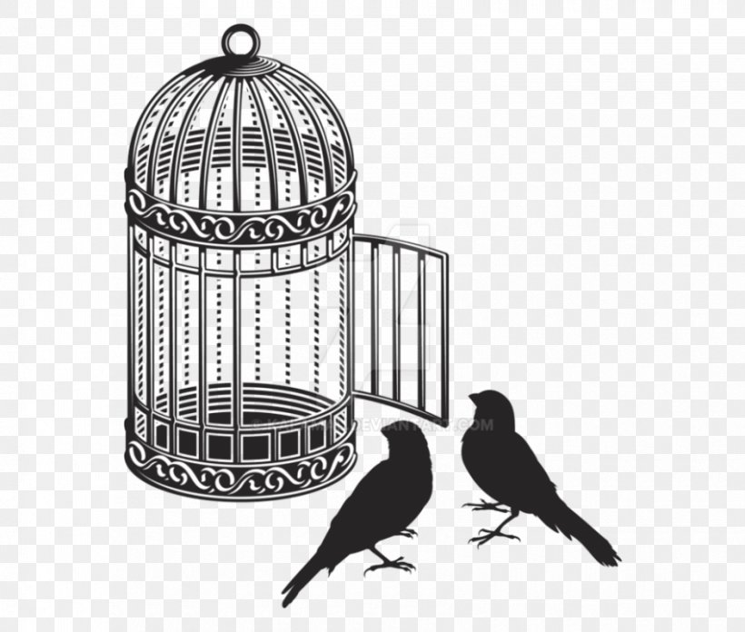 Birdcage Cockatiel Vector Graphics, PNG, 850x722px, Bird, Beak, Birdcage, Black And White, Cage Download Free