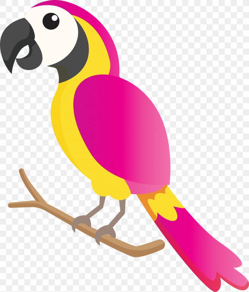 Parrots Birds Beak Hornbill Toucans, PNG, 2557x3000px, Bird Cartoon, Beak, Birds, Cartoon, Curriculum Download Free