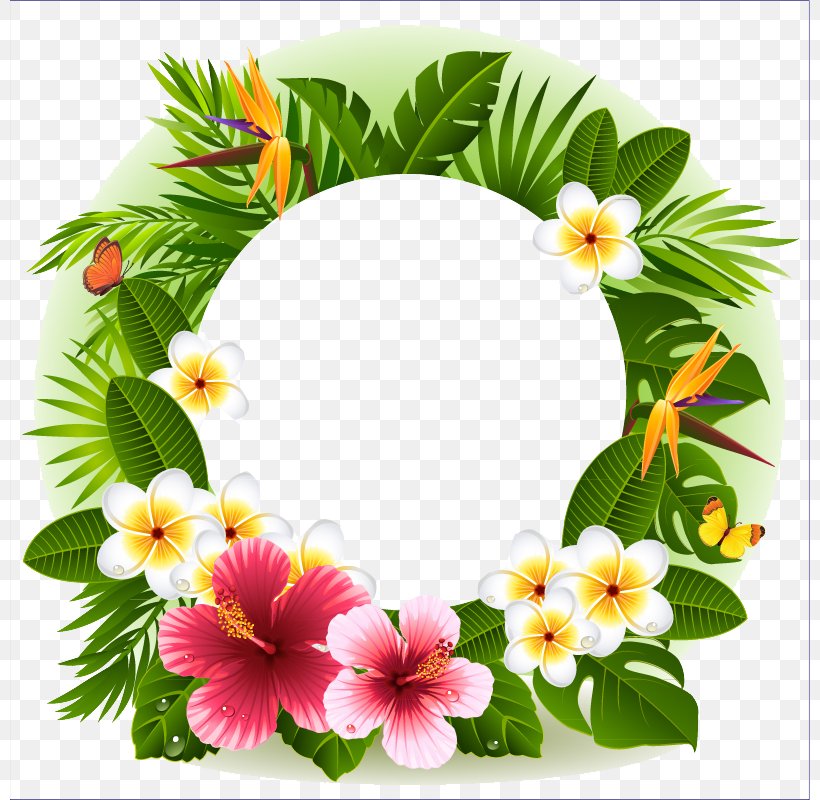 Tropical Flower Decorative Borders, PNG, 800x800px, Picture Frames, Annual Plant, Chrysanths, Dahlia, Flora Download Free