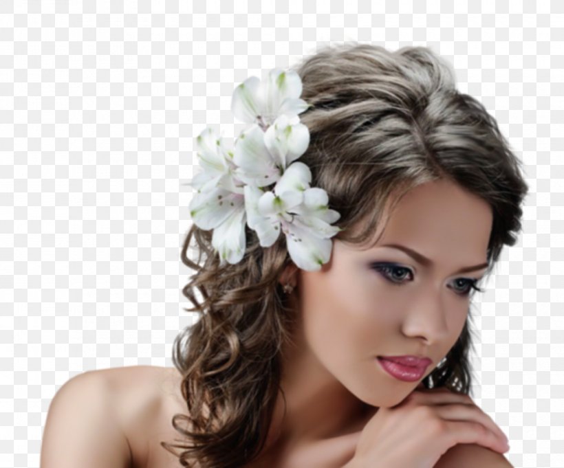 Long Hair Headpiece Hair Tie Brown Hair, PNG, 980x815px, Long Hair, Beauty, Bride, Brown, Brown Hair Download Free
