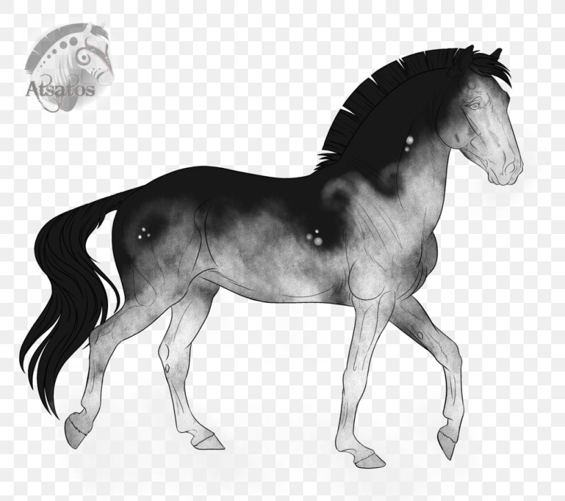 Mane Foal Stallion Mustang Mare, PNG, 1024x910px, Mane, Black And White, Bridle, Colt, Foal Download Free