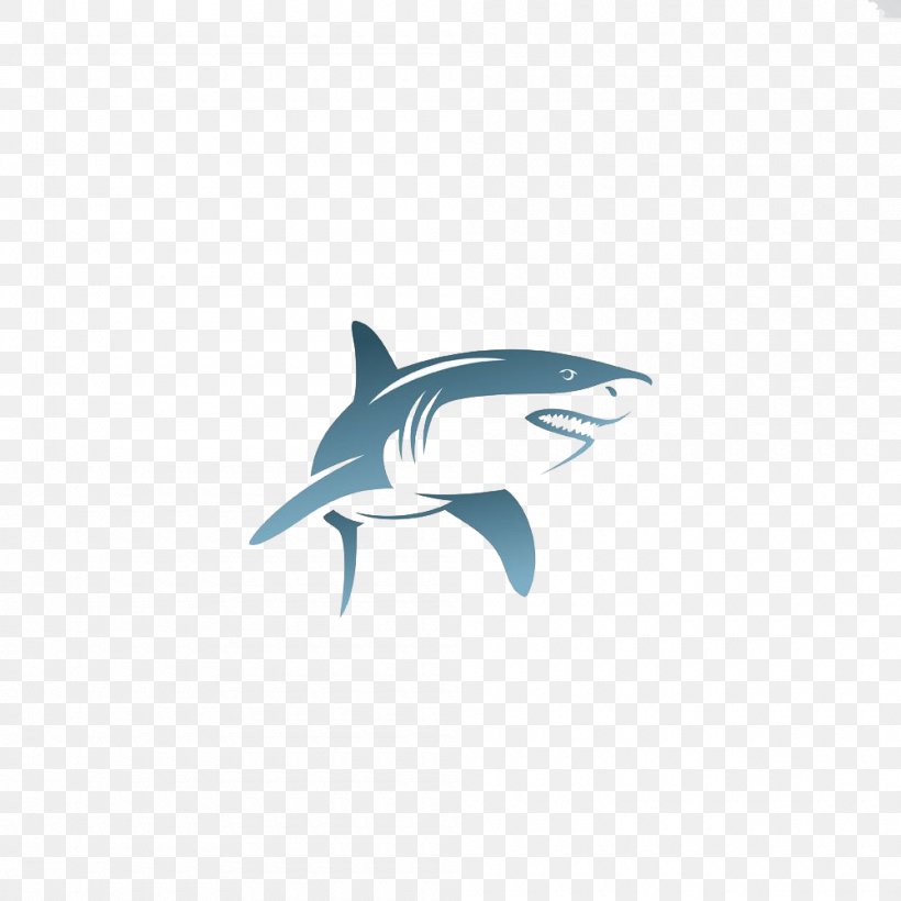 Shark Euclidean Vector Illustration, PNG, 1000x1000px, Shark, Cartilaginous Fish, Dolphin, Fin, Fish Download Free