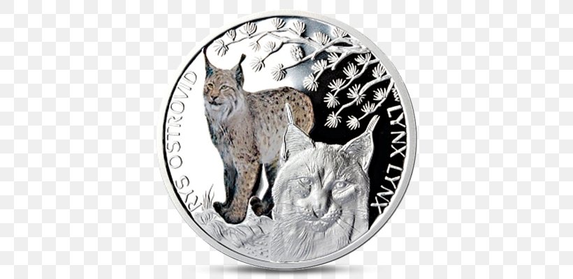 Zlato Bez DPH Facebook:ZlatoBezDPH.cz Silver Coin Smart Mince Fineness, PNG, 708x400px, Silver, Body Jewelry, Canidae, Carnivoran, Coin Download Free