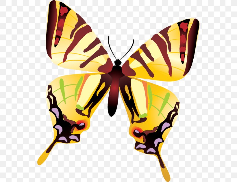Butterfly Insect Embroidery Clip Art, PNG, 564x633px, Butterfly, Animal, Arthropod, Brush Footed Butterfly, Butterflies And Moths Download Free