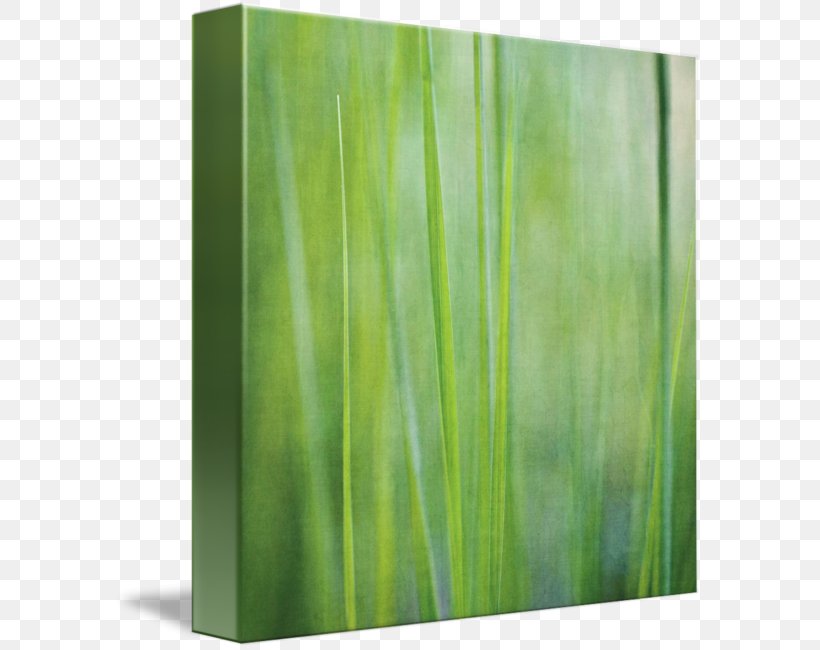 Gallery Wrap Modern Art Canvas Lawn, PNG, 589x650px, Gallery Wrap, Art, Canvas, Grass, Grass Family Download Free