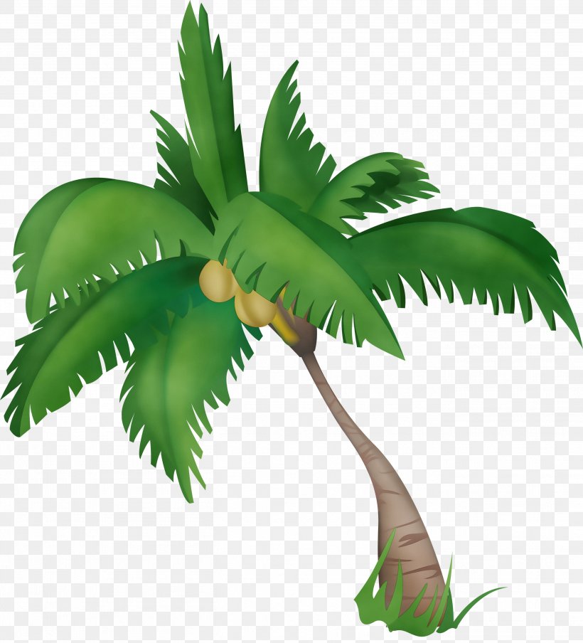 Palm Tree, PNG, 2718x2999px, Watercolor, Arecales, Coconut, Houseplant, Leaf Download Free