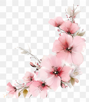 Pink Floral Corner - Delicate Pink Watercolor Floral Illustration PNG