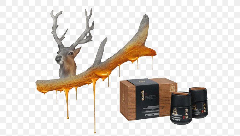 Velvet Antler Red Deer Ginseng, PNG, 640x465px, Antler, Aerosol Spray, Asian Ginseng, Deer, Extract Download Free