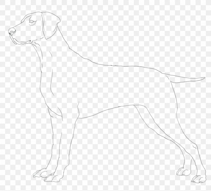 Whippet Italian Greyhound Dog Breed Companion Dog, PNG, 900x815px, Whippet, Artwork, Black, Black And White, Breed Download Free