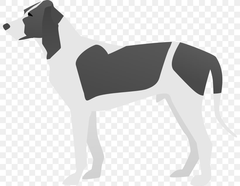 Italian Greyhound American Foxhound Chihuahua Irish Wolfhound Dog Breed, PNG, 800x635px, Italian Greyhound, American Foxhound, Animal, Black, Breed Download Free