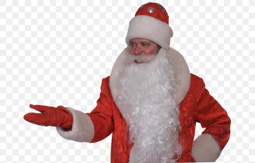Santa Claus Christmas Ornament Beard, PNG, 670x525px, Santa Claus, Beard, Christmas, Christmas Ornament, Facial Hair Download Free
