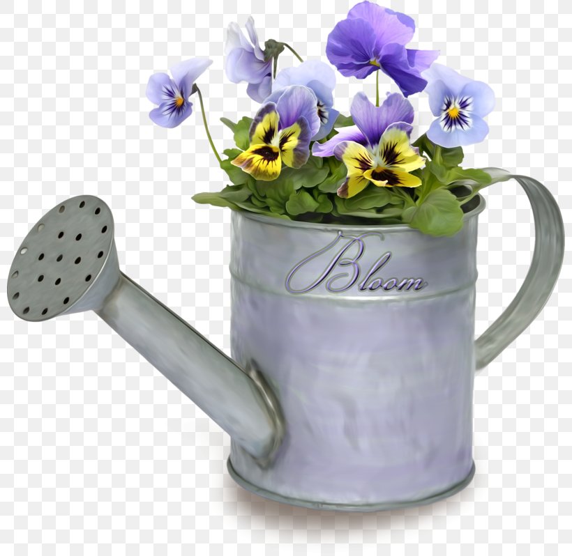 Watering Cans Pansy Flowerpot Garden Embryophyta, PNG, 800x798px, Watering Cans, Embryophyta, Flower, Flowerpot, Garden Download Free