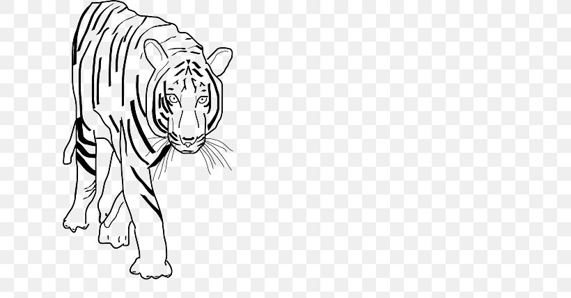 Bengal Tiger Black Tiger Clip Art, PNG, 640x429px, Watercolor, Cartoon, Flower, Frame, Heart Download Free
