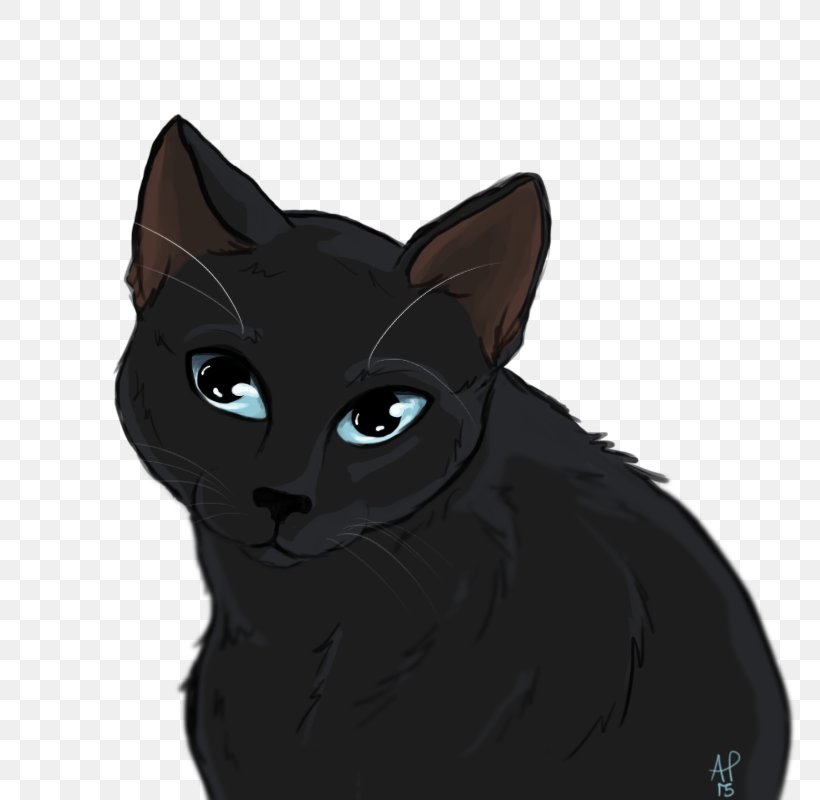 Bombay Cat Korat Black Cat Kitten Domestic Short-haired Cat, PNG, 800x800px, Bombay Cat, Black Cat, Bombay, Carnivoran, Cat Download Free
