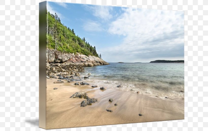 Coast Shore Sea Ocean Beach, PNG, 650x515px, Coast, Acadia National Park, Bay, Beach, Cape Download Free