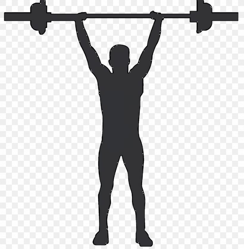 Education Background, PNG, 1624x1656px, Olympic Weightlifting, Arm, Balance, Barbell, Bodybuilding Download Free