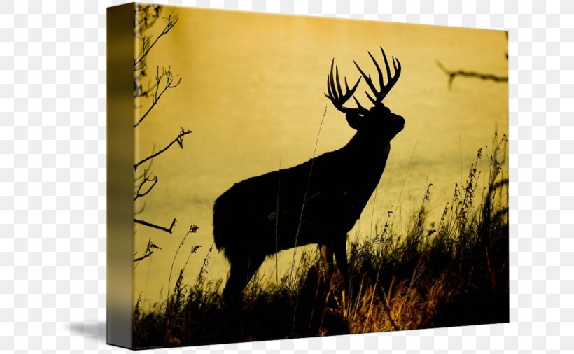 Elk Antler Stock Photography Silhouette, PNG, 650x506px, Elk, Animal, Antler, Deer, Fauna Download Free