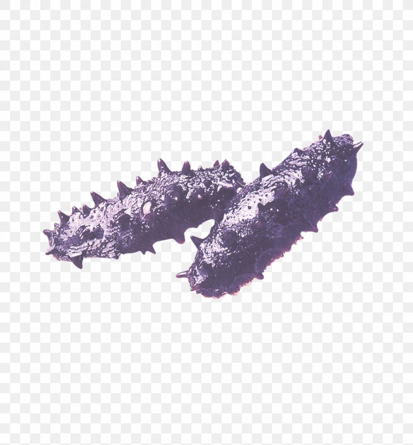 Sea Cucumber As Food, PNG, 1060x1142px, Sea Cucumber As Food, Cucumber, Deep Sea Creature, Lilac, Pixel Download Free