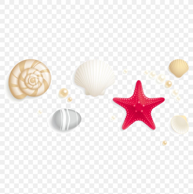 Seashell Stock Photography Royalty-free Clip Art, PNG, 876x882px, Seashell, Beach, Drawing, Line Art, Photography Download Free