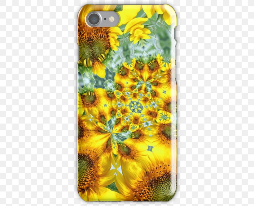 Sunflower Seed Sunflower M Sunflowers Mobile Phone Accessories Mobile Phones, PNG, 500x667px, Sunflower Seed, Cactus, Flower, Flowering Plant, Iphone Download Free
