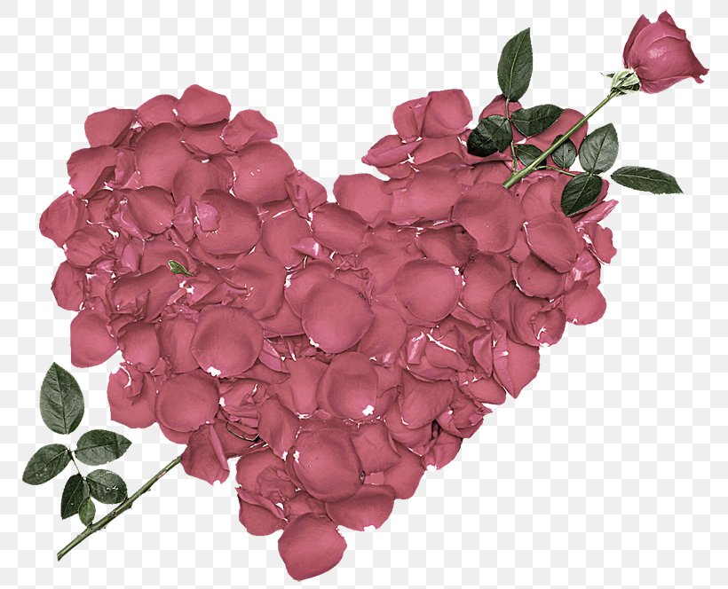 Valentine's Day Rose Desktop Wallpaper WhatsApp Heart, PNG, 800x664px, Rose, Cut Flowers, Flower, Heart, Petal Download Free