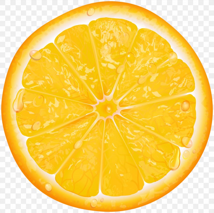 Lemon Orange Slice Clip Art, PNG, 4000x3980px, Orange, Auglis, Citric Acid, Citron, Citrus Download Free
