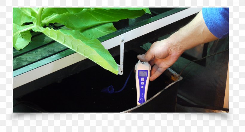 PH Meter Hydroponics Solution Nutrient, PNG, 2208x1189px, Hydroponics, Alkali, Concentration, Conductivity, Nutrient Download Free