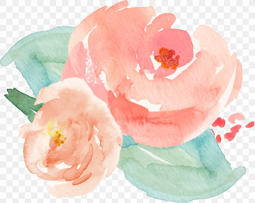 Garden Roses Spoonflower Textile Wallpaper, PNG, 3355x2679px, Garden Roses, Blanket, Flower, Garden, Infant Download Free