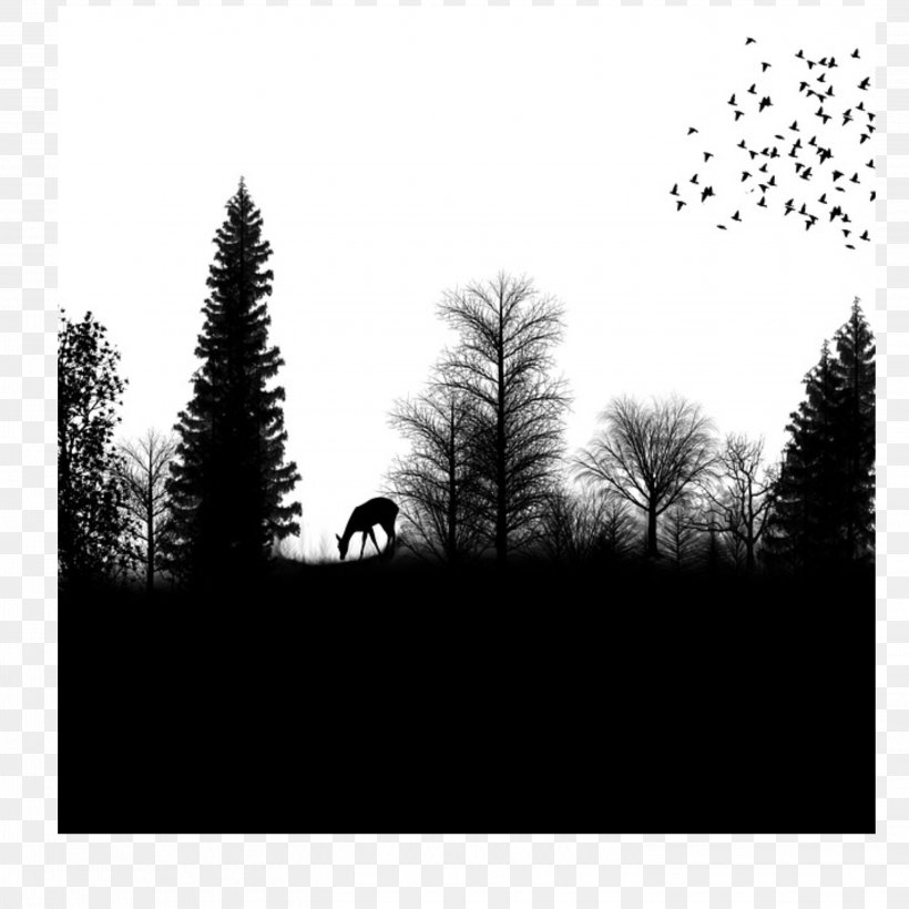 Silhouette Drawing Forest, PNG, 2896x2896px, Silhouette, Art, Black And White, Branch, Conifer Download Free
