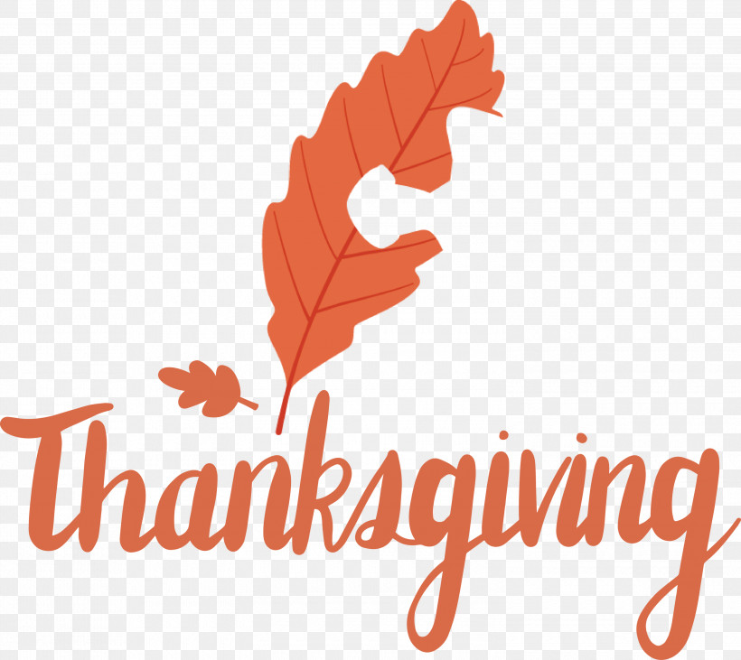 Thanksgiving, PNG, 3000x2676px, Thanksgiving, Biology, Leaf, Logo, M Download Free