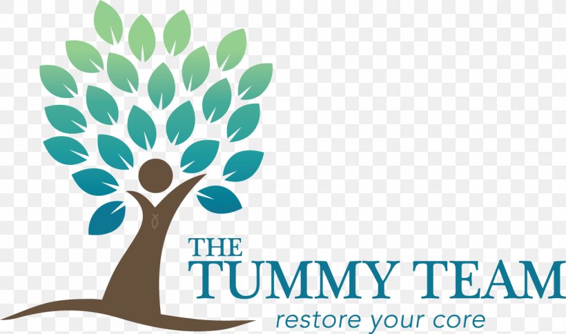 The Tummy Team Diastasis Recti Camas Physical Therapy Pregnancy, PNG, 1311x774px, Diastasis Recti, Branch, Brand, Camas, Exercise Download Free