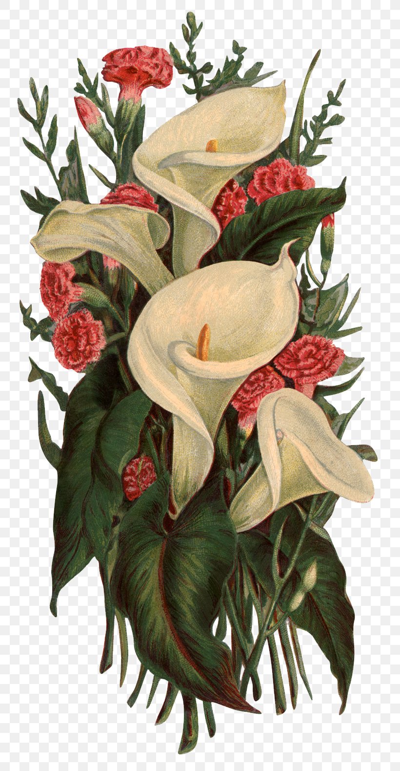 Victorian Era Flower Bouquet Lilium Clip Art, PNG, 813x1578px, Victorian Era, Arumlily, Callalily, Cut Flowers, Floral Design Download Free