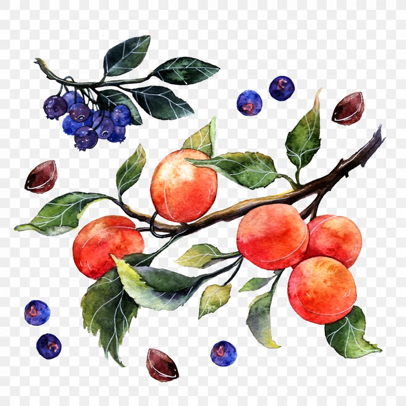 Apple Watercolor Painting Illustrator Illustration, PNG, 1200x1200px, Apple, Art, Behance, Branch, Cartoon Download Free