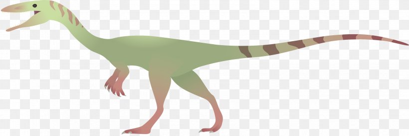 Coelophysis DeviantArt Velociraptor Drawing, PNG, 3365x1128px, Coelophysis, Animal Figure, Art, Deviantart, Dinosaur Download Free