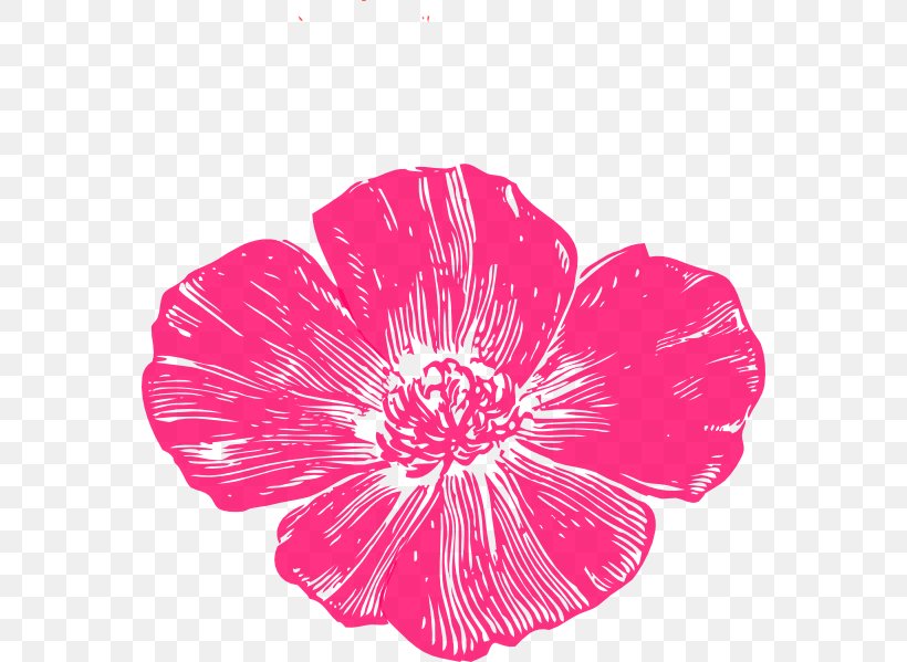 Poppies Bakery & Café Remembrance Poppy California Poppy Clip Art, PNG, 564x599px, Poppy, Armistice Day, Art, California Poppy, Drawing Download Free