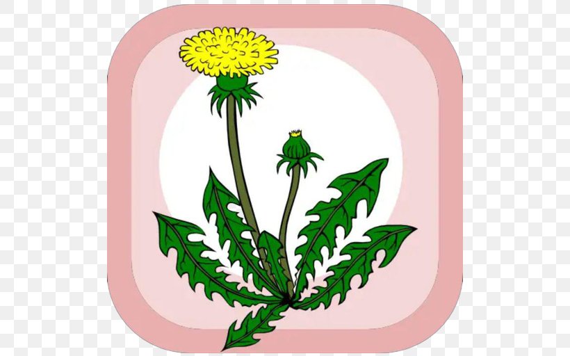 Dandelion Clip Art, PNG, 512x512px, Dandelion, Artwork, Chrysanths, Daisy Family, Drawing Download Free