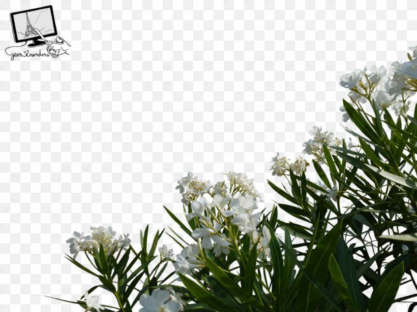 Flower Desktop Wallpaper, PNG, 1024x768px, 3d Computer Graphics, Flower, Branch, Flora, Flowering Plant Download Free