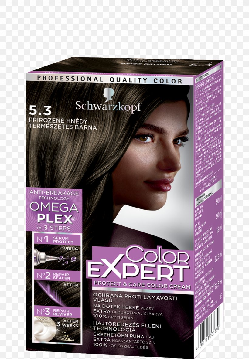 Hair Coloring Black Hair Human Hair Color Schwarzkopf L'Oréal, PNG, 970x1400px, Hair Coloring, Beige, Black, Black Hair, Brown Hair Download Free