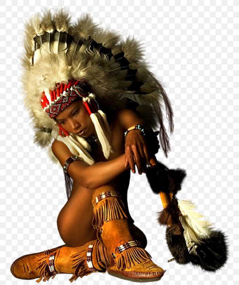 Indigenous Peoples Of The Americas Tribal Chief PaintShop Pro, PNG, 800x975px, Indigenous Peoples Of The Americas, Character, Fur, Headgear, Microsoft Paint Download Free