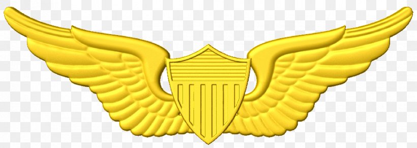 United States Astronaut Badge United States Aviator Badge Clip Art United States Of America, PNG, 914x325px, United States Astronaut Badge, Aircraft Pilot, Aircrew Badge, Aviator Badge, Badge Download Free