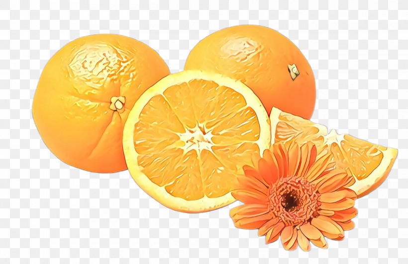 Orange, PNG, 2480x1611px, Citrus, Bitter Orange, Fruit, Grapefruit, Mandarin Orange Download Free